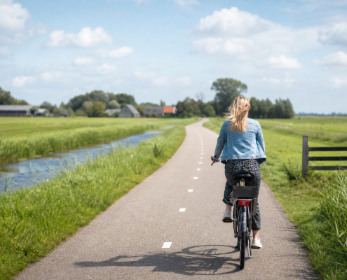 Fietser op een zonnige polderweg
