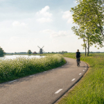 Weg door een open landschap naar de horizon