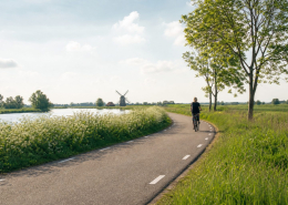 Weg door een open landschap naar de horizon