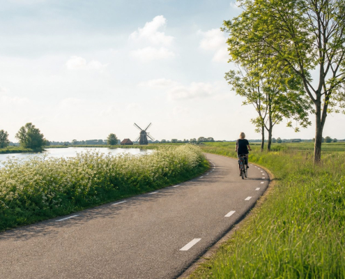 Weg door een open landschap naar de horizon
